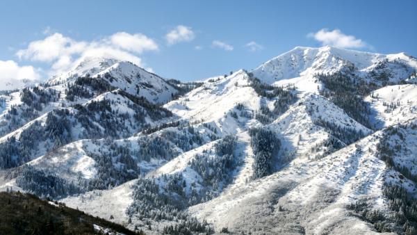 Salt Lake Salt Lake